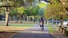 Persona corriendo por un sendero arbolado en Al Lopez Park