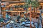 Vista interior del atrio principal de International Plaza con palmeras y múltiples niveles