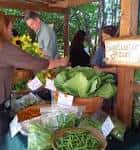 Puesto de venta de vegetales frescos en el mercado de la granja