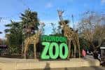 Entrada principal con el letrero 'London Zoo' y estatuas de jirafas