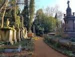 Camino central flanqueado por monumentos funerarios bajo luz diurna
