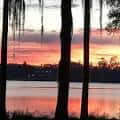 Puesta de sol sobre el lago con siluetas de árboles en primer plano