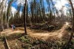 Sendero de MTB en Lady Cannings con ciclista en acción