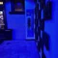 Interior del local con iluminación azul y decoración en la pared