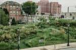 Vista panorámica de los jardines y espacios verdes del Grand Center Arts District