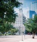 Vista del edificio desde la calle con árboles en primer plano
