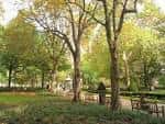 Vista del parque Rittenhouse Square con árboles y bancos en un día soleado