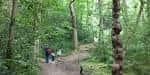 Pareja caminando por un sendero entre bosques verdes