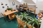 Interior del espacio de coworking WRAP en Brighton con mesas y plantas