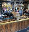 Interior del bar con mostrador de madera y un gato sentado sobre él
