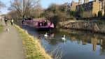 Barcaza rosa amarrada en el canal con patos nadando cerca