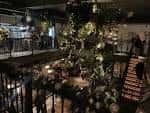 Interior del restaurante con decoración botánica y luces cálidas