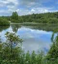 Paisaje del Adel Dam Nature Reserve con reflejo en el agua y vegetación circundante