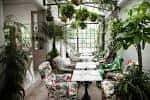 Interior luminoso con mesas dispuestas para eventos rodeadas de plantas y decoración botánica