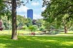 Vista del parque con césped verde y árboles frondosos bajo un cielo azul