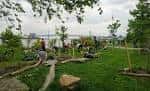 Actividad comunitaria de limpieza y plantación de árboles en el parque