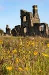 Ruinas históricas del Manor Lodge entre flores silvestres