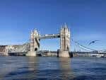 Torre Bridge bajo un cielo azul despejado con pájaros volando