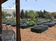 Vista del jardín comunitario con camas de cultivo elevadas y zona sombreada