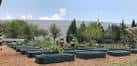 Panorámica del jardín comunitario con hileras de cultivos y vegetación