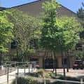 Fachada del edificio rodeado de vegetación en un día soleado