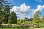 Jardín abierto con césped, árboles y cielo azul despejado