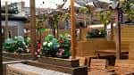 Área exterior con jardines, bancos de madera y estructuras de madera para eventos al aire libre