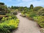 Sendero entre zonas rocosas y vegetación colorida dentro de los jardines botánicos