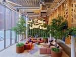 Sala común interior con sofás naranjas y decoración vegetal