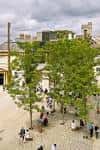 Área central del Bonn Square con árboles y bancos