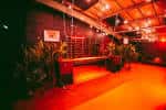 Área decorada con plantas y mobiliario en el Colour Factory