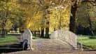 Puente blanco en Morden Hall Park con árboles de otoño
