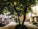 Jardín interior o patio cercano a la iglesia con árboles y bancos