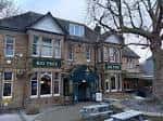 Vista exterior del pub The Big Tree en Sheffield con patio y árboles