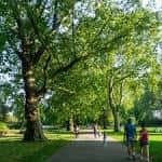 Personas caminando por un sendero en Southwark Park bajo la sombra de árboles grandes