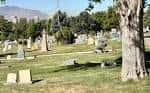 Vista general del cementerio con lápidas y árboles bajo cielo despejado