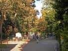 Sendero arbolado en Forge Dam Park con personas caminando