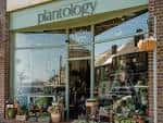 Fachada de la tienda Plantology Floral Creations con escaparate y plantas en el exterior