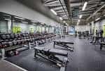 Sala de pesas con mancuernas y bancos de entrenamiento