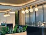 Interior moderno del bar con iluminación cálida y plantas decorativas