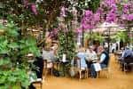 Área exterior con personas sentadas en mesas rodeadas de vegetación y flores rosas