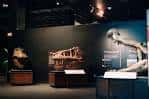 Sala de exhibición con fósiles de dinosaurios y especímenes naturales iluminados