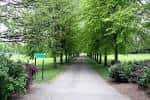 Sendero arbolado con césped verde y señalización en Hillsborough Park