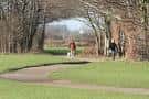 Personas caminando por un sendero arbolado en el interior del parque