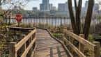 Pasarela de madera en el humedal del parque Alexandra con vistas a la ciudad