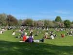 Grupo de personas disfrutando del parque en un día soleado
