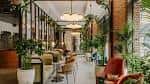 Interior del lobby o zona de estar con decoración moderna y plantas