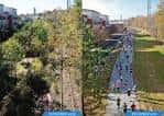 Sendero pavimentado del Atlanta BeltLine con personas caminando y áreas verdes a los lados
