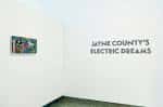 Interior de la galería mostrando una instalación artística con texto 'Jayne County's Electric Dreams' en pared blanca