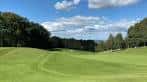 Campo de golf con árboles al fondo bajo cielo azul